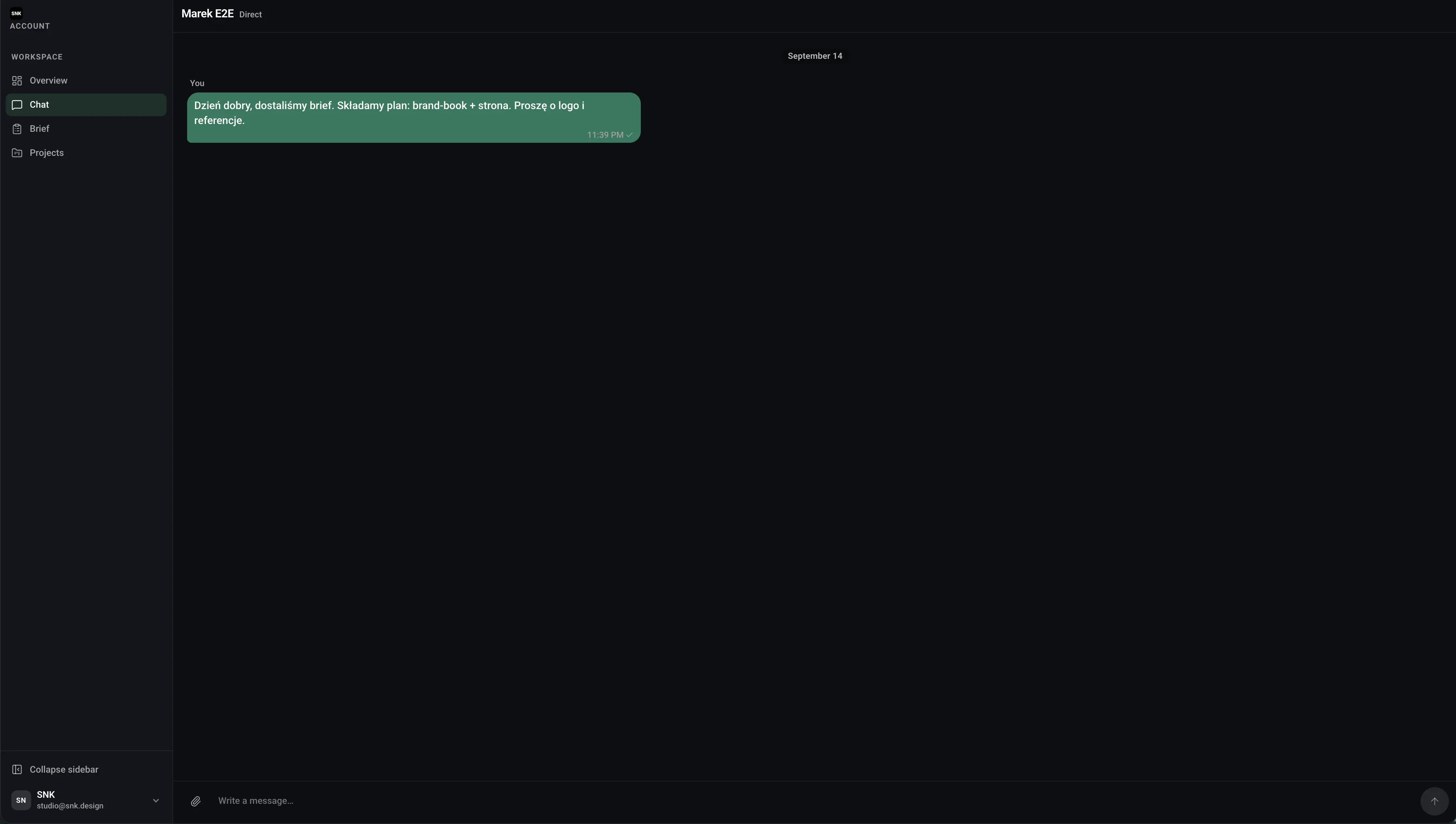 Client panel chat preview at SNK