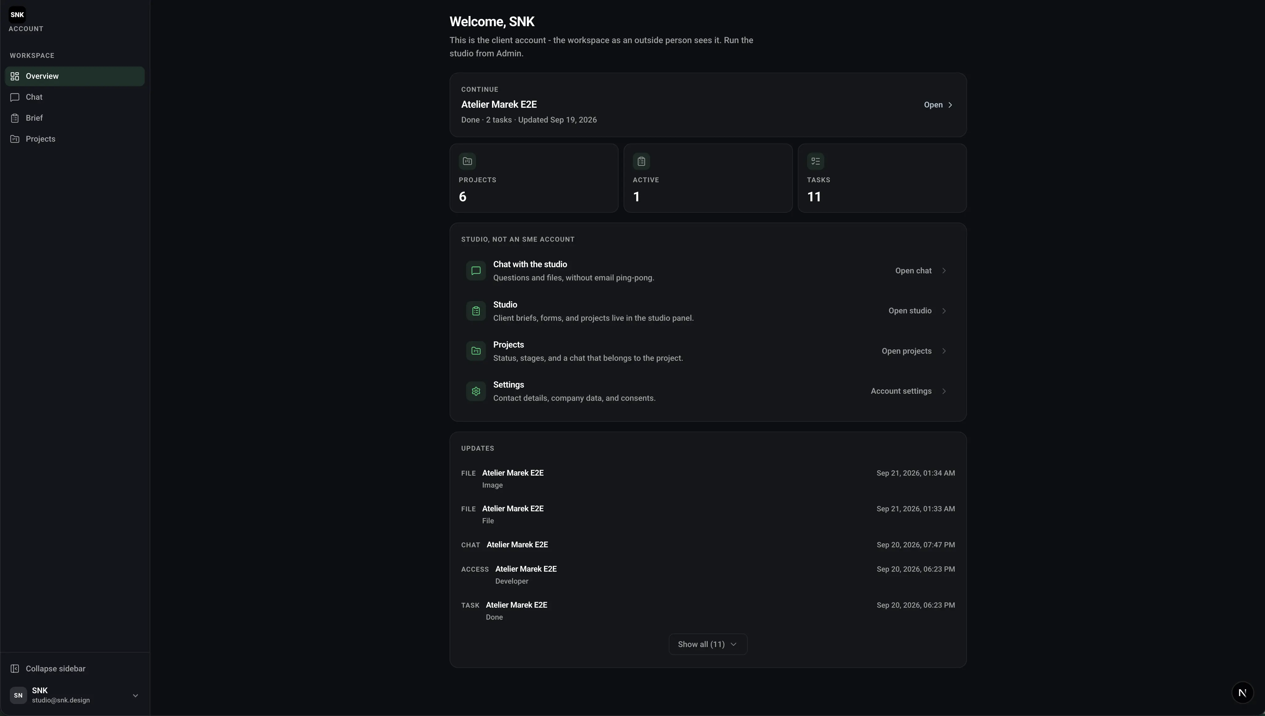 SNK client panel preview